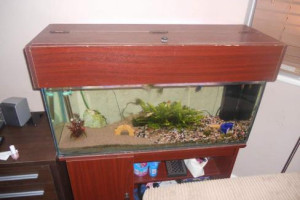 Kompletne akwarium + 11 rybek, 100F