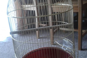 sprzedam klatke