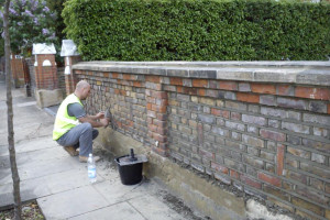 Murarz  Profesjonalna  Murarka.