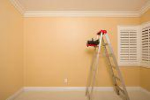 PAINTER DECORATOR,HANDYMAN, ALL LONDON AREAS COVERED,MOULD REMOVAL