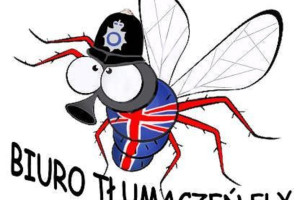 Angielski Tłumaczenia Biuro Tłumaczeń Fly