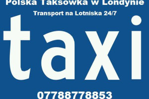 Na Lotnisko, Na Lotniska w Londynie - 07788778853 - Polskie Taxi w Londynie