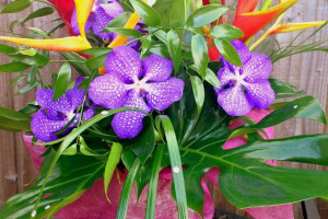 Kwiaty na WalentPolska Kwiaciarnia Londyn