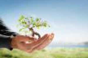 psychoterapia w j. polskim - Londyn Zachodni