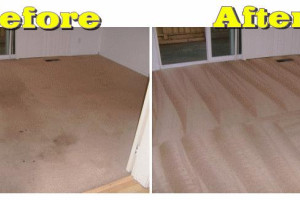 CARPET CLEANING - CALY LONDYN