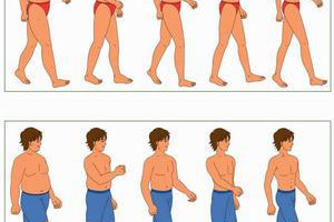 Xenical -Zdrowe Skuteczne Sprawdzone Odchudzanie