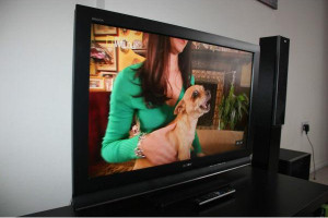 Sony BRAVIA KDL-40L4000 - 40" Widescreen 1080P Full HD Bravia LCD