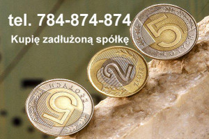 Skup Zadłużonych Spółek zoo SA