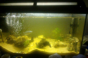 Sprzedam Akwarium 70L