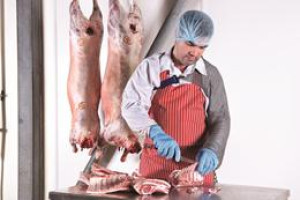 Praca na rozbiorze - rzeznik - klasowacz - oferujemy stala prace + kontrakt