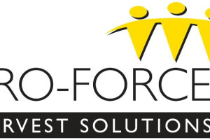 Recruitment Consulatant - Chartham