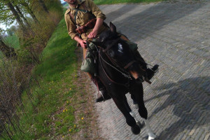 Ułan z Polski szuka pracy