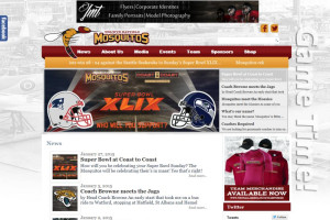 Profesjonalne Strony WWW od £99 tel:07728321957