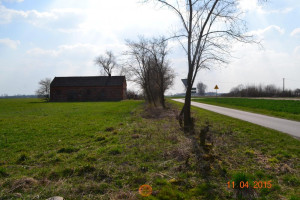 POLECAM SIEDLISKO W CENTRUM POLSKI MIĘDZY KUTNEM A ŁOWICZEM