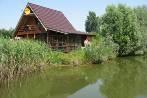 sprzedam rancho, lub wynajme w centralnej polsce dwa domy, konie
