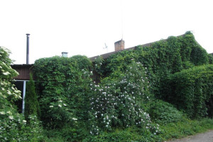 sprzedam rancho, lub wynajme w centralnej polsce dwa domy, konie