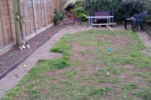 pokuj dwojka do wynajecia