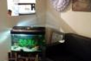 pokuj dwojka do wynajecia