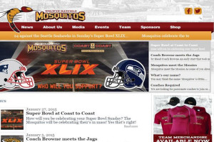 Profesjonalne Strony WWW