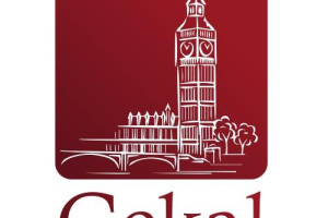 Praca dla kucharza w Anglii,