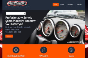 Profesjonalne Strony WWW