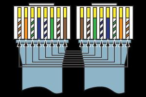 IT specialist looking for a job