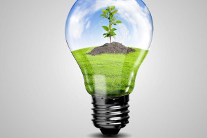 Elektryk~Ogólnobudowlaniec~Szuka~Pracy 07494733365