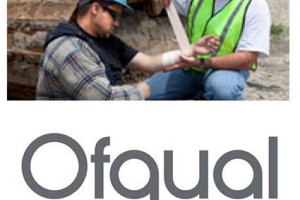 Szkolenia z pierwszej pomocy po polsku – Emergency First Aid