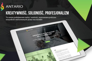 Tworzenie stron i sklepów internetowych