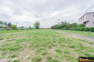 Na sprzedaz DOM 120m2, dzialka 2700m2 ,Gniezno. 309 000 zl