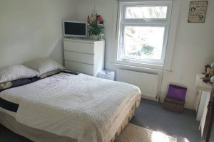 Pokoj do wynajecia dla dziewczyny. Centrum strefa 2!