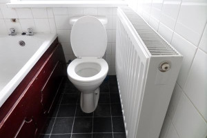 Mieszkanie dwupokojowe do wynajecia