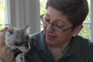 Dostepne kociaki Maine Coon