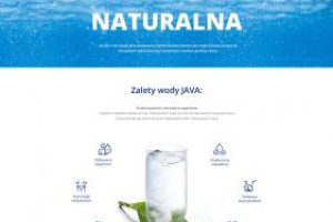 Tworzenie stron i sklepów internetowych
