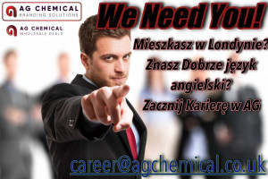 Znasz angielski? Mamy dla Ciebie pracę! Praca full time