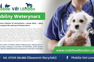 Lekarz weterynarii DARTFORD | weterynarz DARTFORD | polski lekarz weterynarii DARTFORD | polski weterynarz DARTFORD | usługi dla zwierząt DARTFORD | polski gabinet weterynaryjny DARTFORD | polska lecznica weterynaryjna DARTFORD