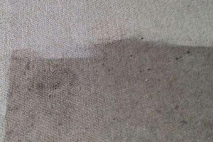 Profesjonalne Mycie Dywanów Carpet Materacy itp