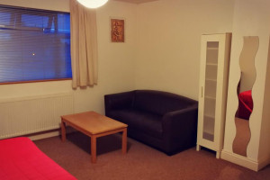 DWÓJKA / JEDYNKA W CZYSTYM I PRZESTRONNYM MIESZKANIU