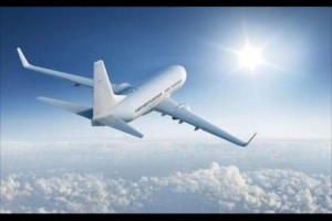 Kierowca zawodowy pomoże w transporcie