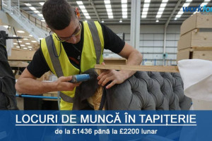 Tapicer
