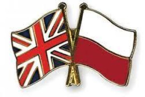 Pisanie tekstów, pisanie CV, tłumaczenie tekstów, teksty SEO