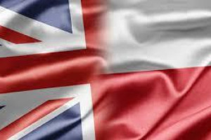 Pisanie tekstów, pisanie CV, tłumaczenie tekstów, teksty SEO