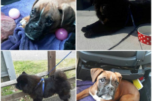 PROMOCJA -30 % Przeprowadzki