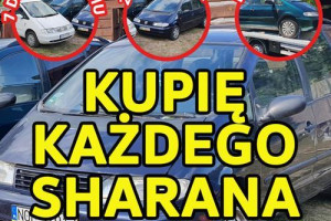 Skup VW Sharan, Kupię Każdego Sharana 2.0 Benzyna