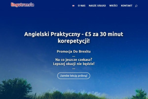 Angielski Praktyczny Promocja Do Brexitu