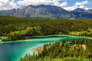 COLDII CANADA IMMIGRATION SERVICE