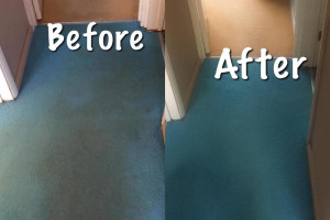 Profesjonalne pranie dywanów I tapicerki meblowej.