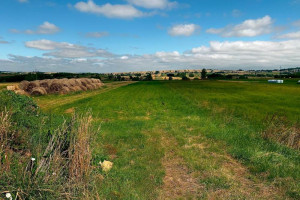 Sprzedam DOM z HALĄ i DZIAŁKĄ