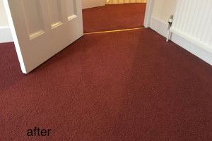 Profesjonalne pranie dywanów i tapicerki.