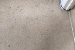 Profesjonalne pranie dywanów i tapicerki.